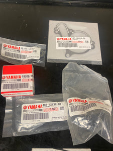 Yamaha YFZ450R OEM Water Pump Kit